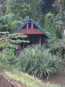 Sinharaja Forest Edge