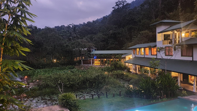 Sinharaja Forest Edge