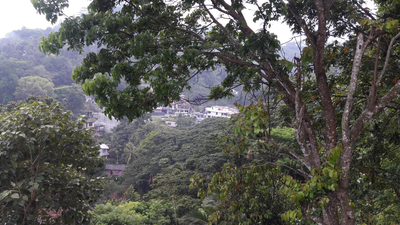 KANDY Holiday Residence