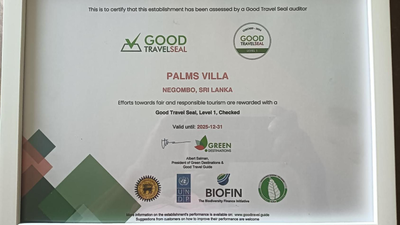 Palms Villa