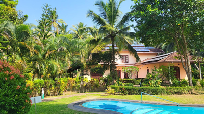 King Coconut Lodge