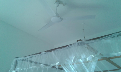 Green View Guest
