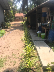 SaltBay kite and Dive Resort Kalpitiya