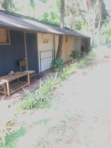SaltBay kite and Dive Resort Kalpitiya