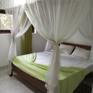Leafy Villa
