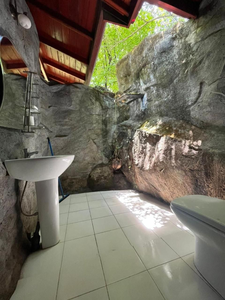 Mossy Forest Chalets