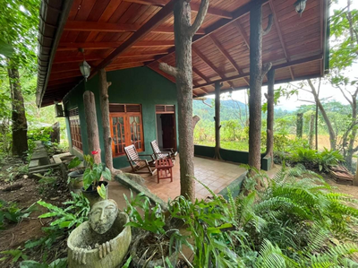 Mossy Forest Chalets