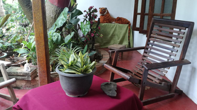 Kalana Homestay
