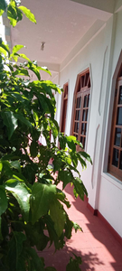 little rose inn