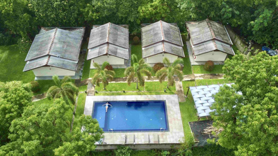 Jungle Paradise