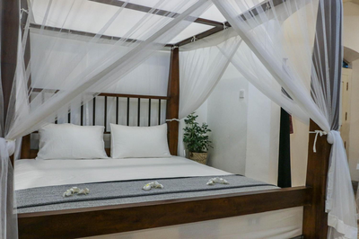 Villa Rosa Blanca