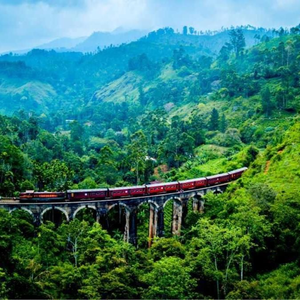 Green Paradise