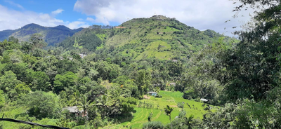 Green Leaf Resort