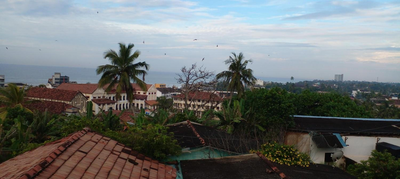 Galle City Nest