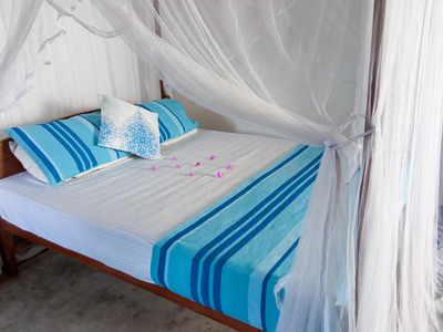 Bluebell Guest House