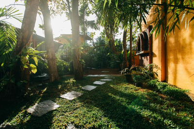 Boho Jungle Studios