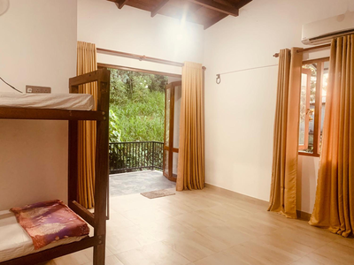 Jungle city Hostel