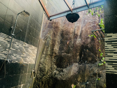 Jungle city Hostel