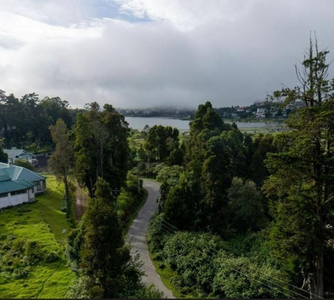 Avenue Nuwara Eliya