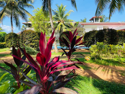 Hotel Narasinga