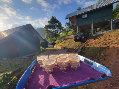 Theli Ella Resort