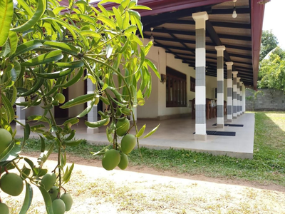 lake edge polannaruwa