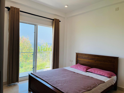 Modern Home Stay