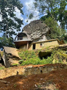 The Cave