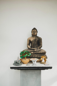 Rama Shala - Home of the flying Yogis