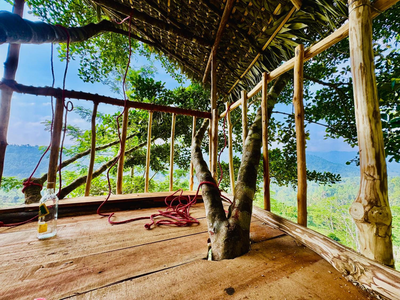 AVA tree house
