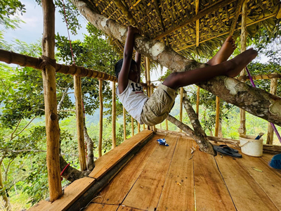 AVA tree house
