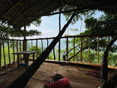 AVA tree house