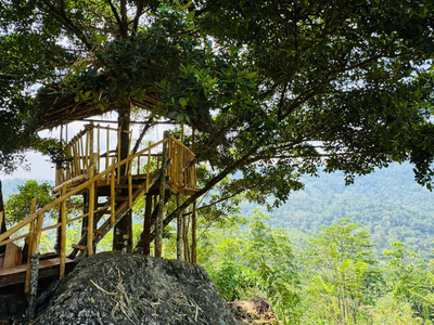 AVA tree house