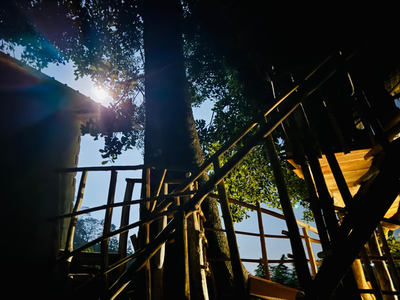 AVA tree house