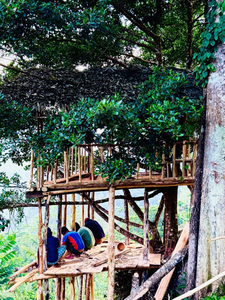 AVA tree house