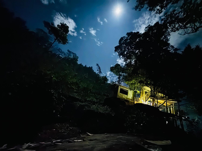 AVA tree house