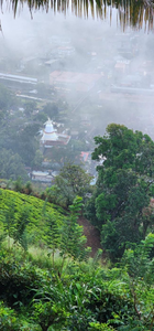 Aroma Villa