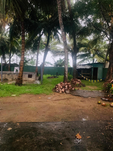 Coconut Tree Villa