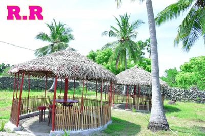 Delft island home stay