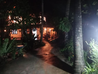 The Garden
