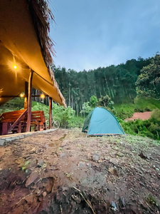 Cindrella Sky Nest Camp Ella