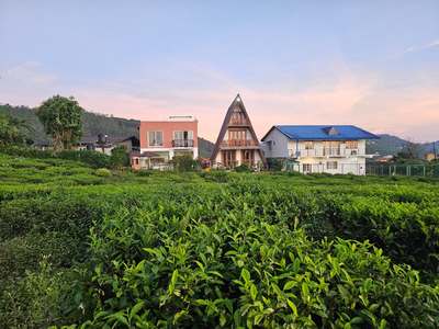 Green Valley Cabin Nuwara Eliya