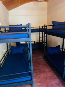 Lemon Tree Hostel Arugambay