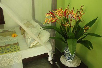 Dionis Villa