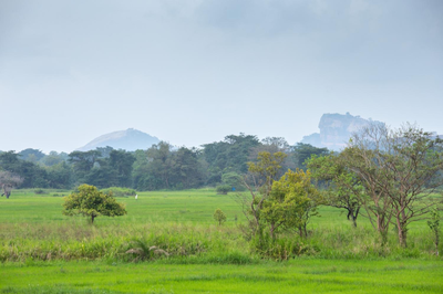 The Hideout Sigiriya