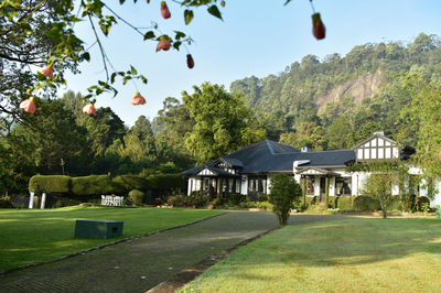 Hill Cottage