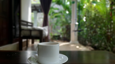 The Otunna Guest House Sigiriya