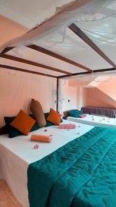 NEW SEA LION Guest House