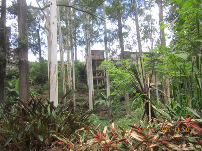 Tree House Holiday Home