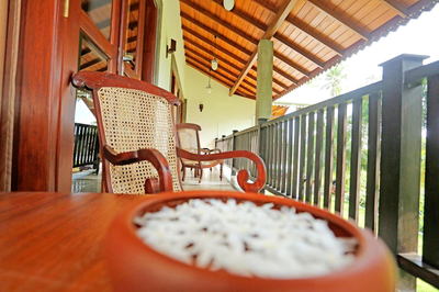 Villa Peacock